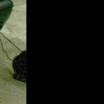 Profielfoto van f63amg