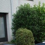 Profielfoto van tonnie