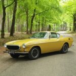 Profielfoto van Bert